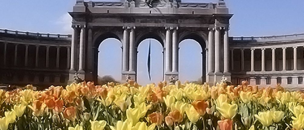 Hotel Brussels Groot Bijgaarden Εξωτερικό φωτογραφία